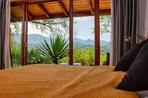 Bougainvillea Retreat image 12