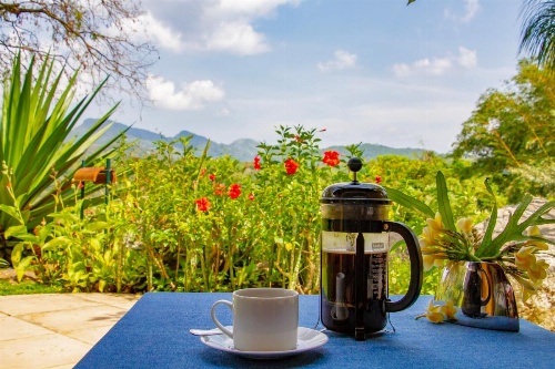 Bougainvillea Retreat image 31